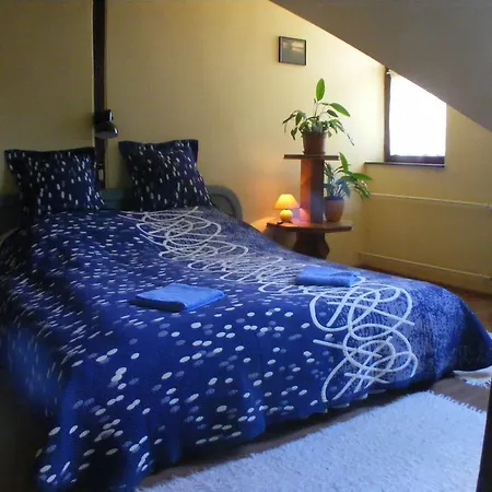 Napfeny Apartmanhaz *